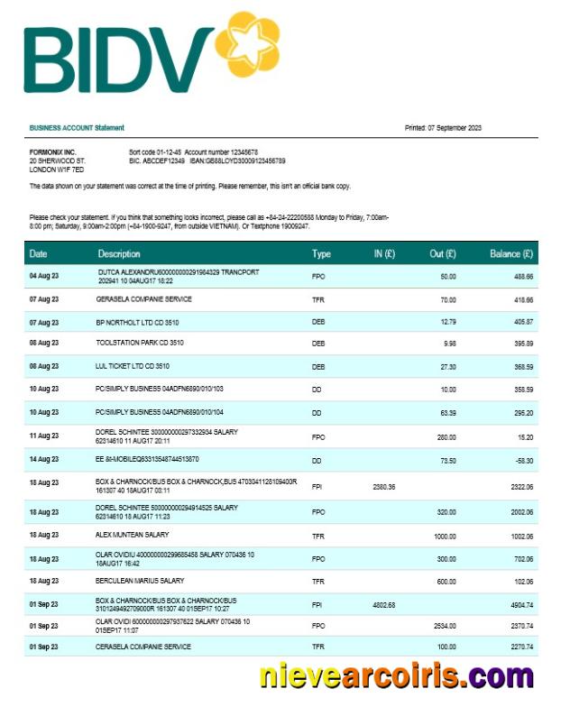 Bank for Investment and Development of Vietnam (BIDV) business statement